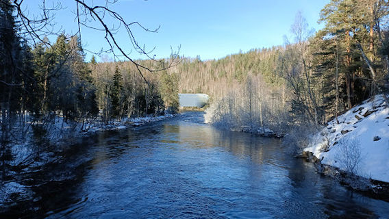 All of Nature Flows Through Us