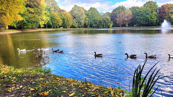 Stadspark Turnhout Wandel en Natuurpark