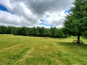 Buxton Woods DGC