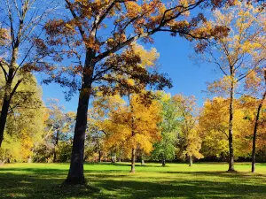 Astico Park