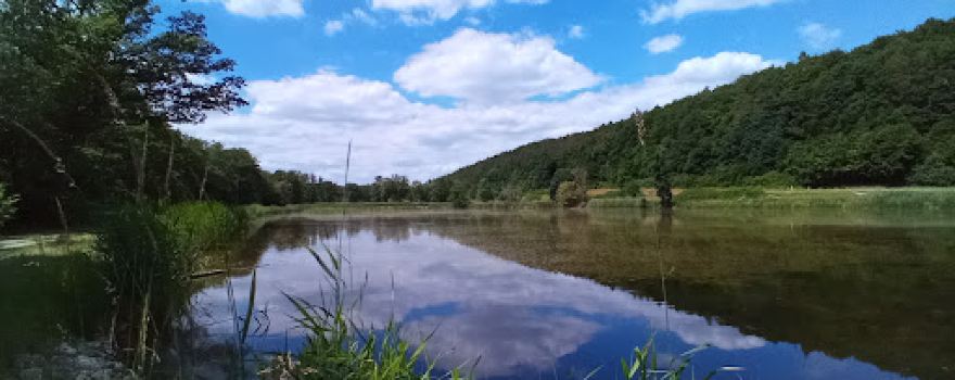 Tretzendorfer Weiher