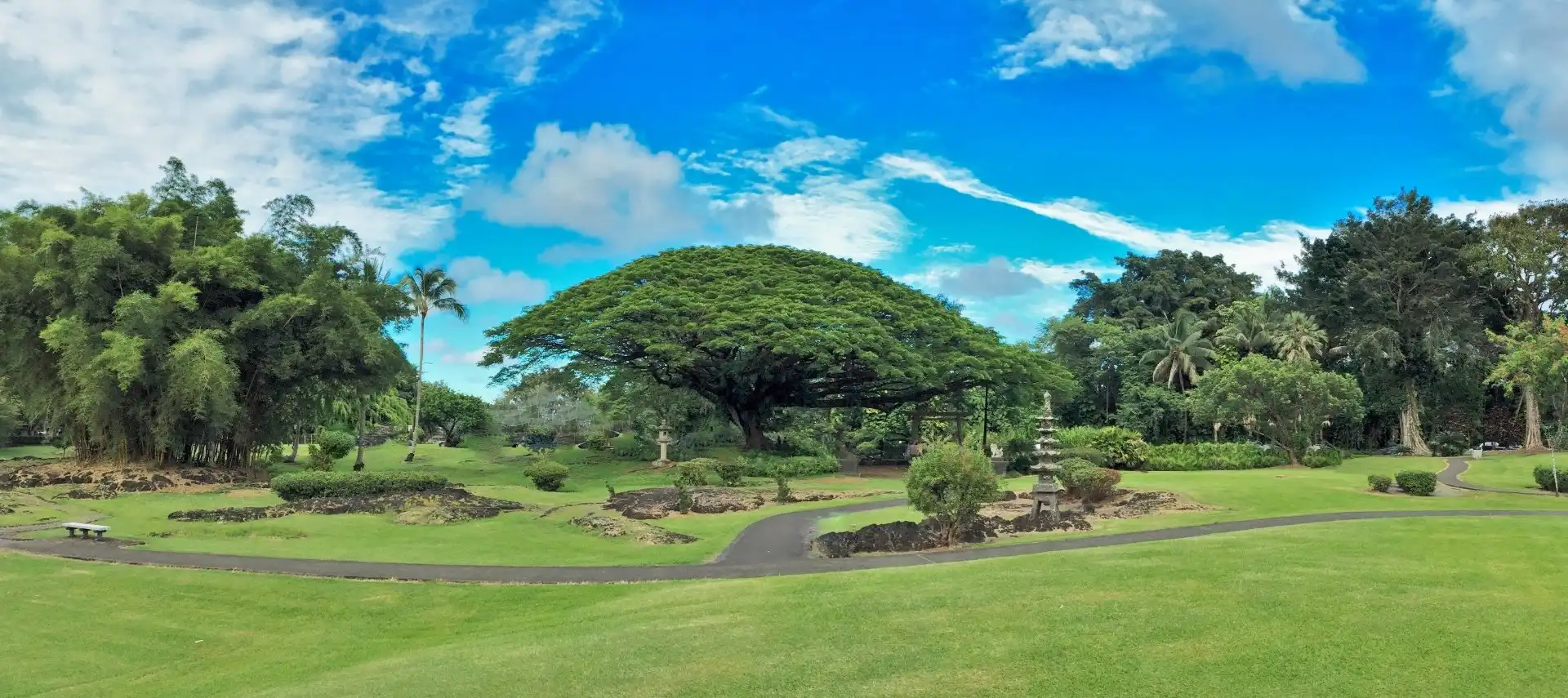 鄰近莉莉烏卡拉尼公園的酒店