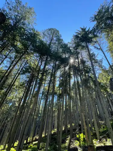 Hotels in Columbia-Shuswap E