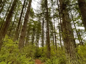 Campbell Valley Regional Park