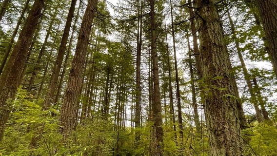 Campbell Valley Regional Park