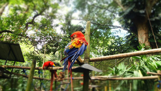 Simón Bolívar Zoo and Botanical Garden