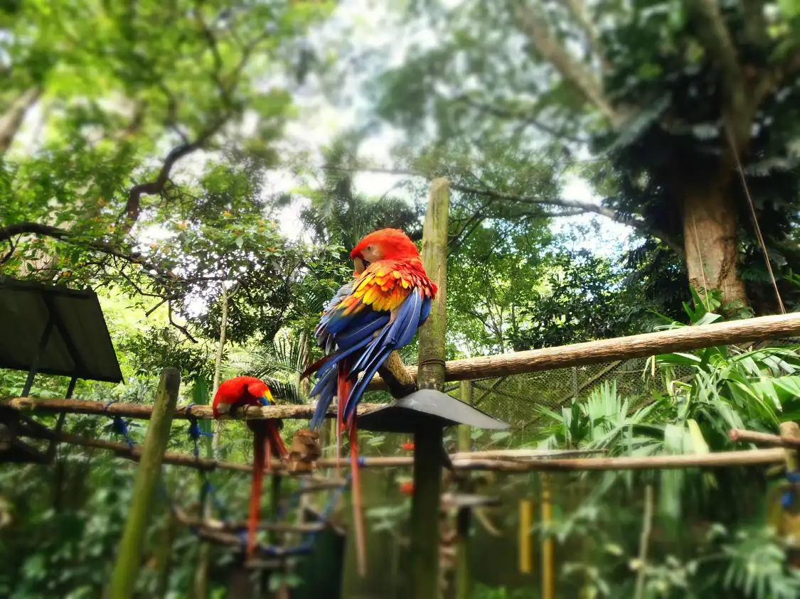 Hotel in zona Giardino Botanico e Zoologico Simón Bolívar