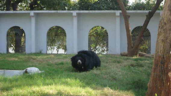 Kankaria Lake