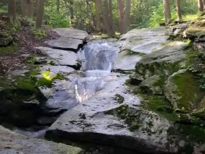 Seven Tubs Recreation Area - Pinchot Forest District