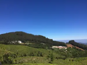 Doddabetta Peak
