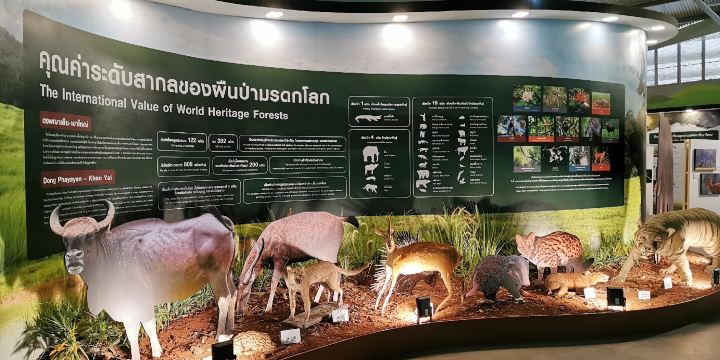 Khao Yai National Park Checkpoint - Pak Chong