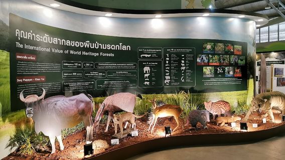 Khao Yai National Park Checkpoint - Pak Chong