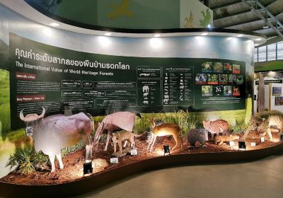Khao Yai National Park Checkpoint - Pak Chong