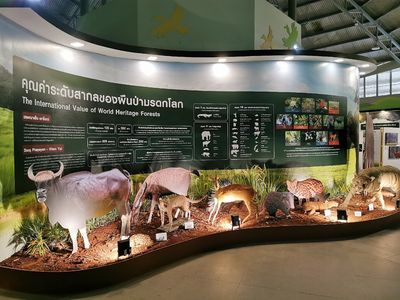 Khao Yai National Park Checkpoint - Pak Chong