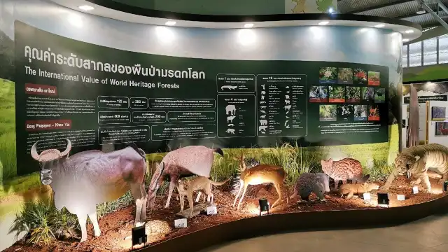 ด่านอุทยานแห่งชาติเขาใหญ่ - ปากช่อง