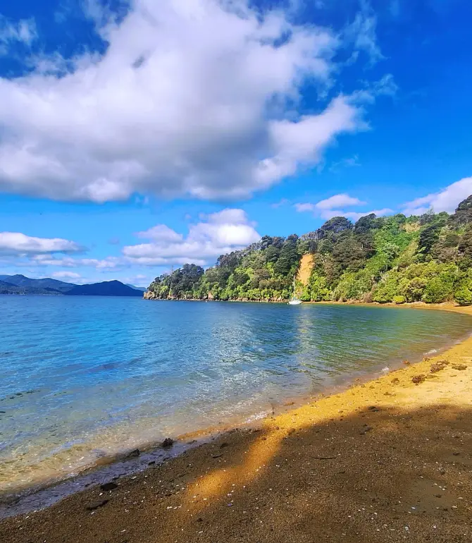 Queen Charlotte Sound
