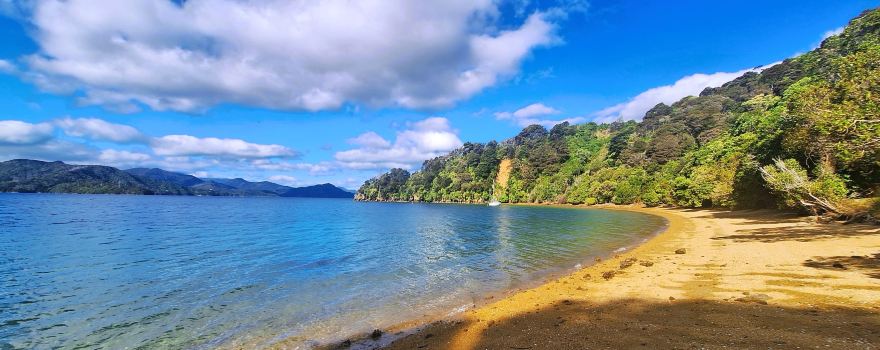 Bay of Many Coves