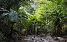Siam River Adventures