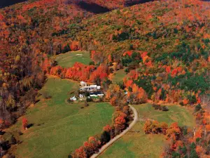 Sugarbush Farm