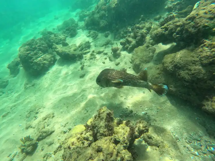 Hotels near Coral Sanctuary Boat Ticket Issue Center