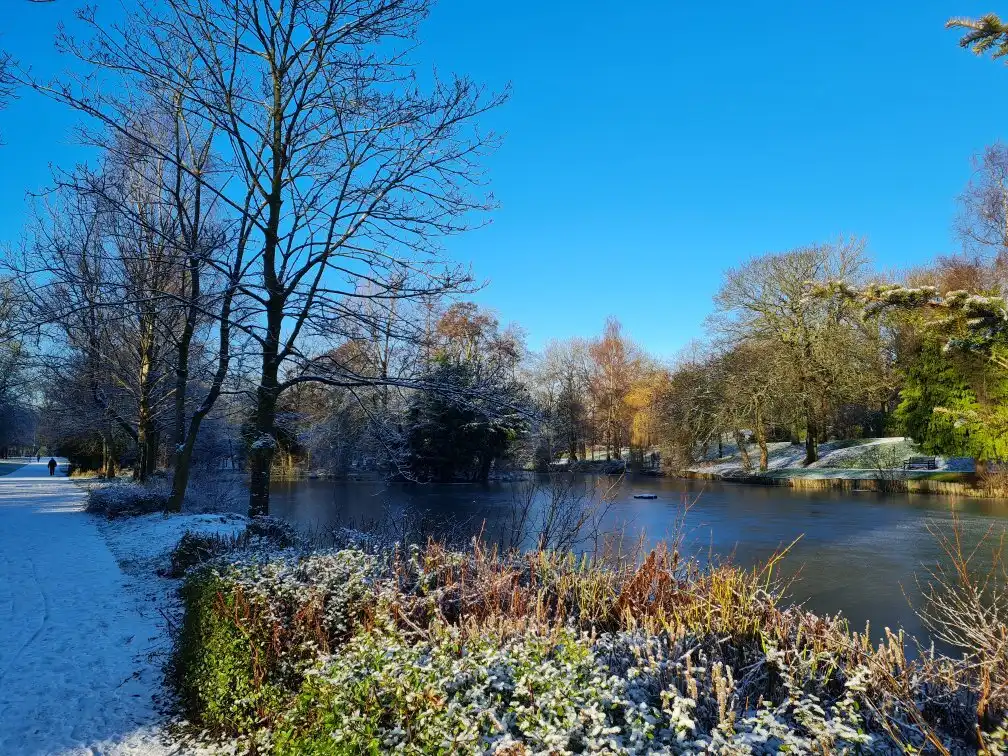 Hotels near Alexandra Park