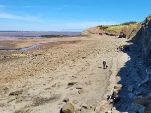 Joggins Fossil Cliffs & Centre