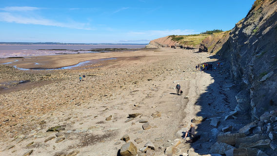 Joggins Fossil Cliffs & Centre