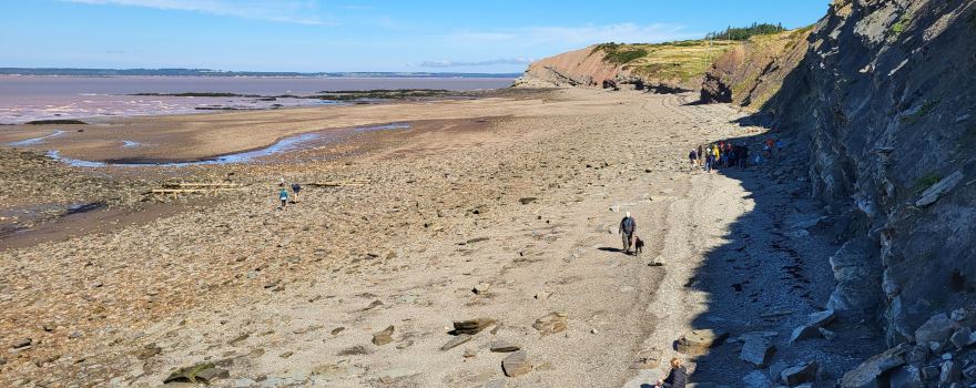 Joggins Fossil Cliffs & Centre