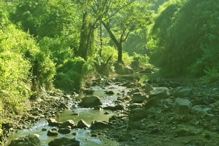 فنادق في Naguilian
