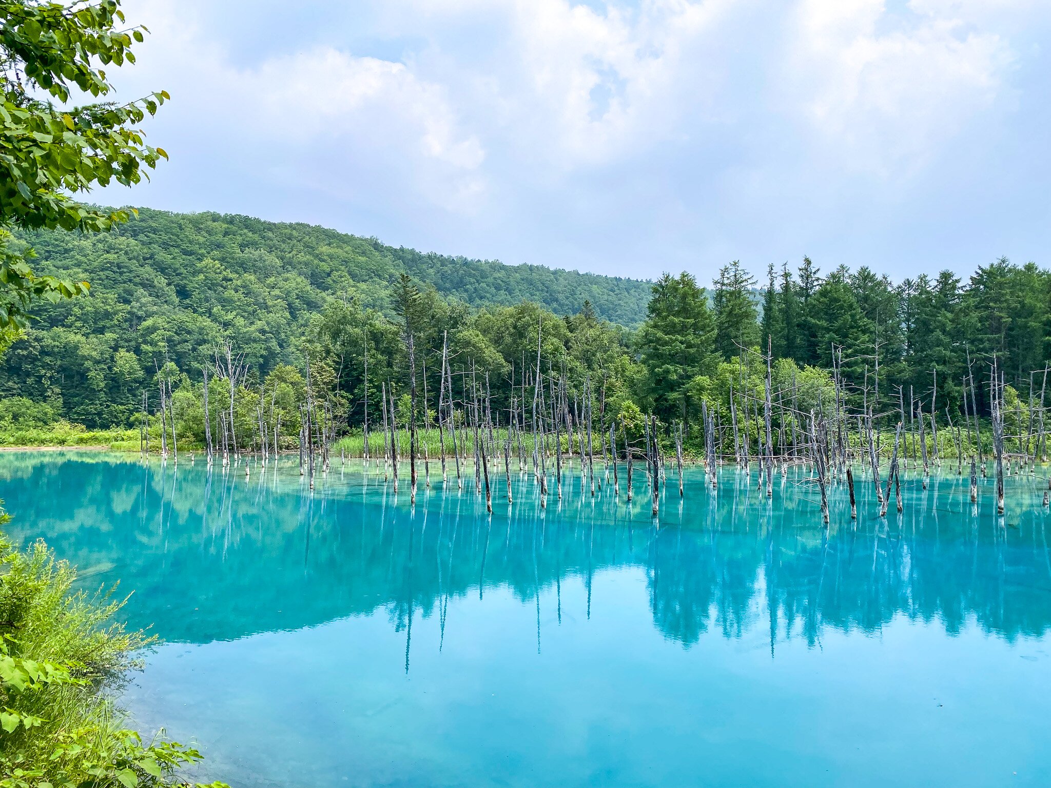 Shirogane Blue Pond (Aoiike) Tickets [2025] - Promos, Prices