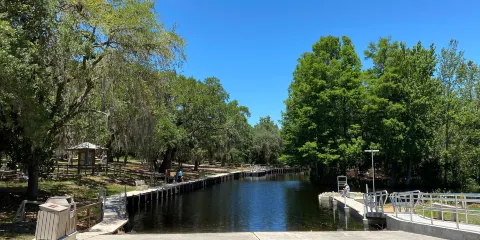 Lake Griffin State Park