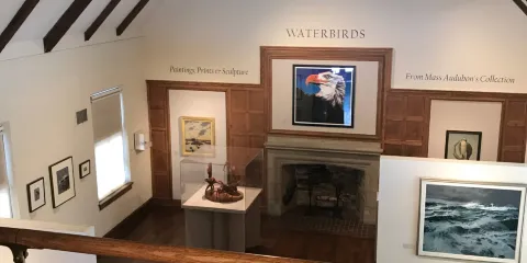 Museum of American Bird Art at Mass Audubon