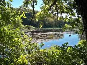 Pilot Knob State Park