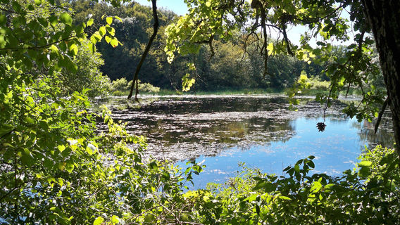 Pilot Knob State Park