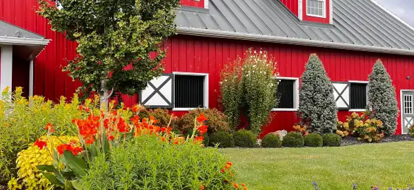 Hotels in Cooper County