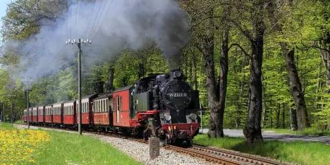 The Mollie Steam Train