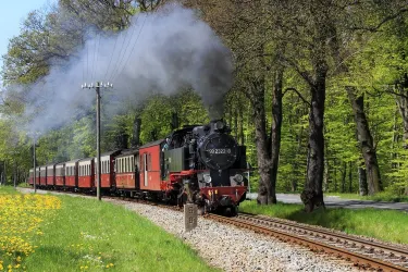 The Mollie Steam Train