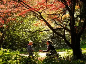 National Trust - Dyffryn Gardens
