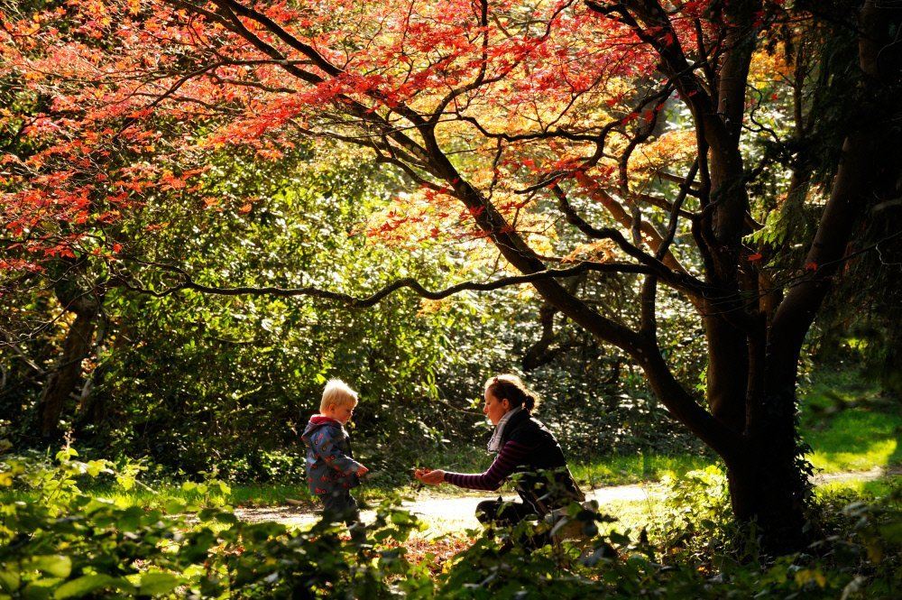 National Trust - Dyffryn Gardens