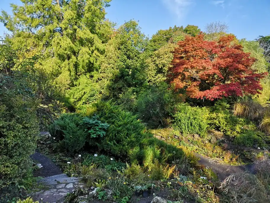 哥廷根老植物園附近的飯店