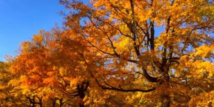 Edward L. Ryerson Conservation Area