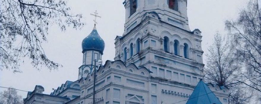 Orsha District