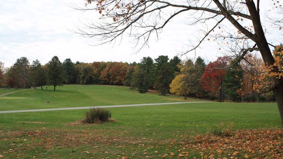 Dingman Township