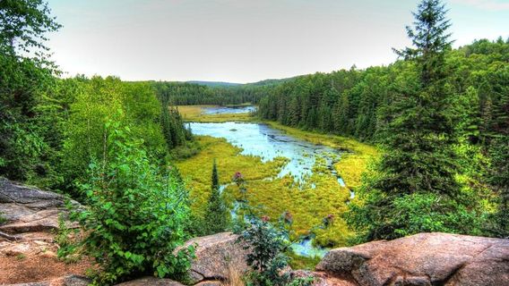 Beaver Pond Trail