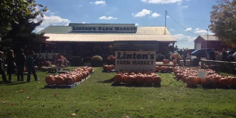 Linton's Farm Market
