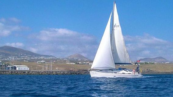 Endeavour Sailing