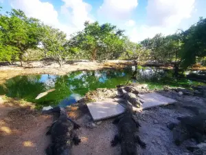 Granja de Cocodrilos Itzamkanac