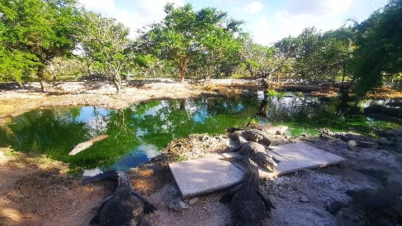 Granja de Cocodrilos Itzamkanac