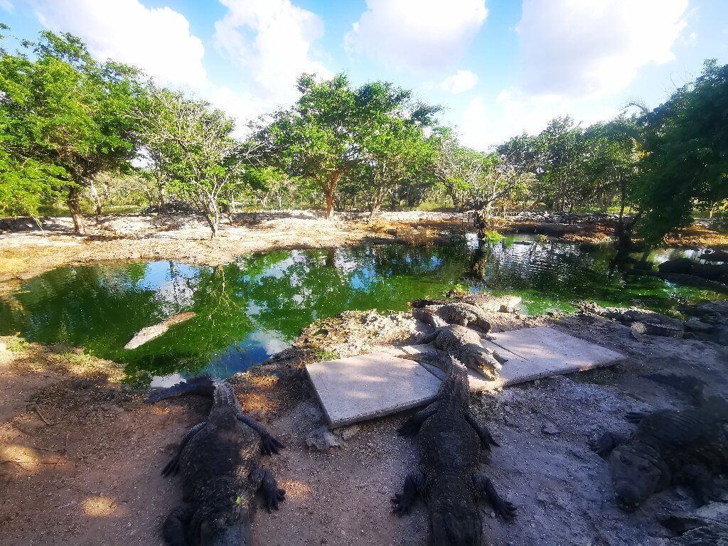 Granja de Cocodrilos Itzamkanac