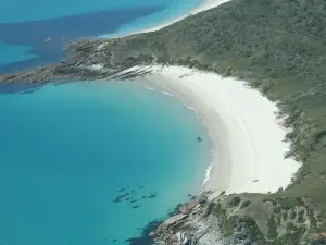 Heli-Central Gorge Scenic Flights